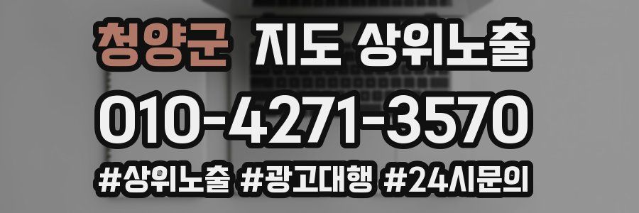 청양군 지도 상위 노출