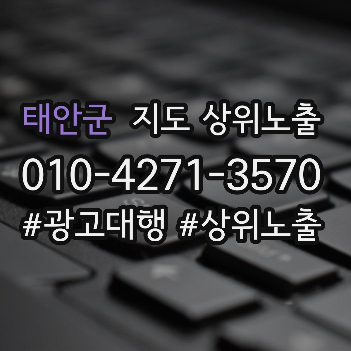 태안군 지도 상위 노출