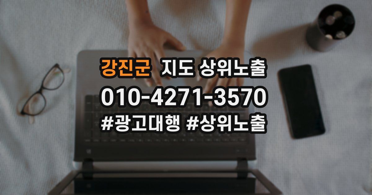 강진군 지도 상위 노출