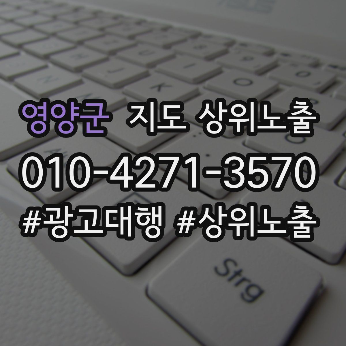 영양군 지도 상위 노출