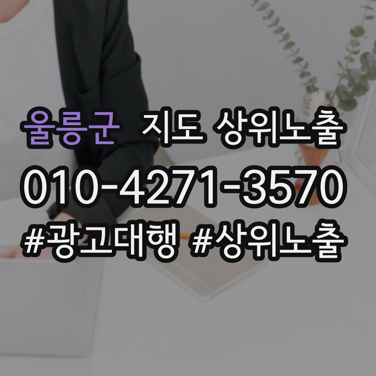 울릉군 지도 상위 노출