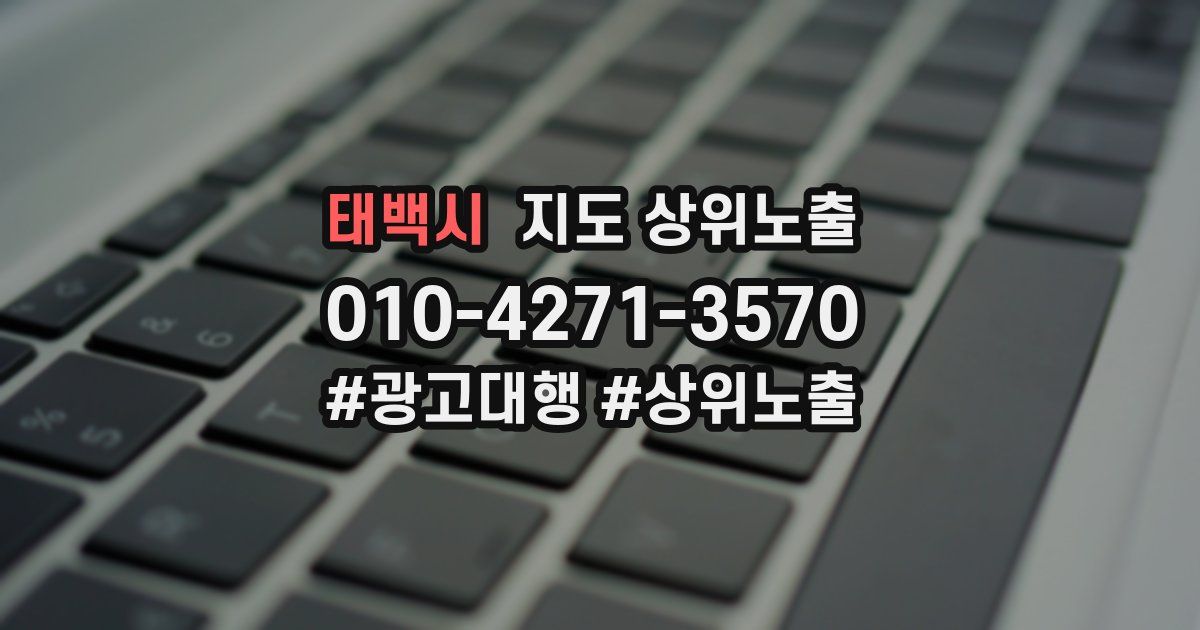 태백시 지도 상위 노출