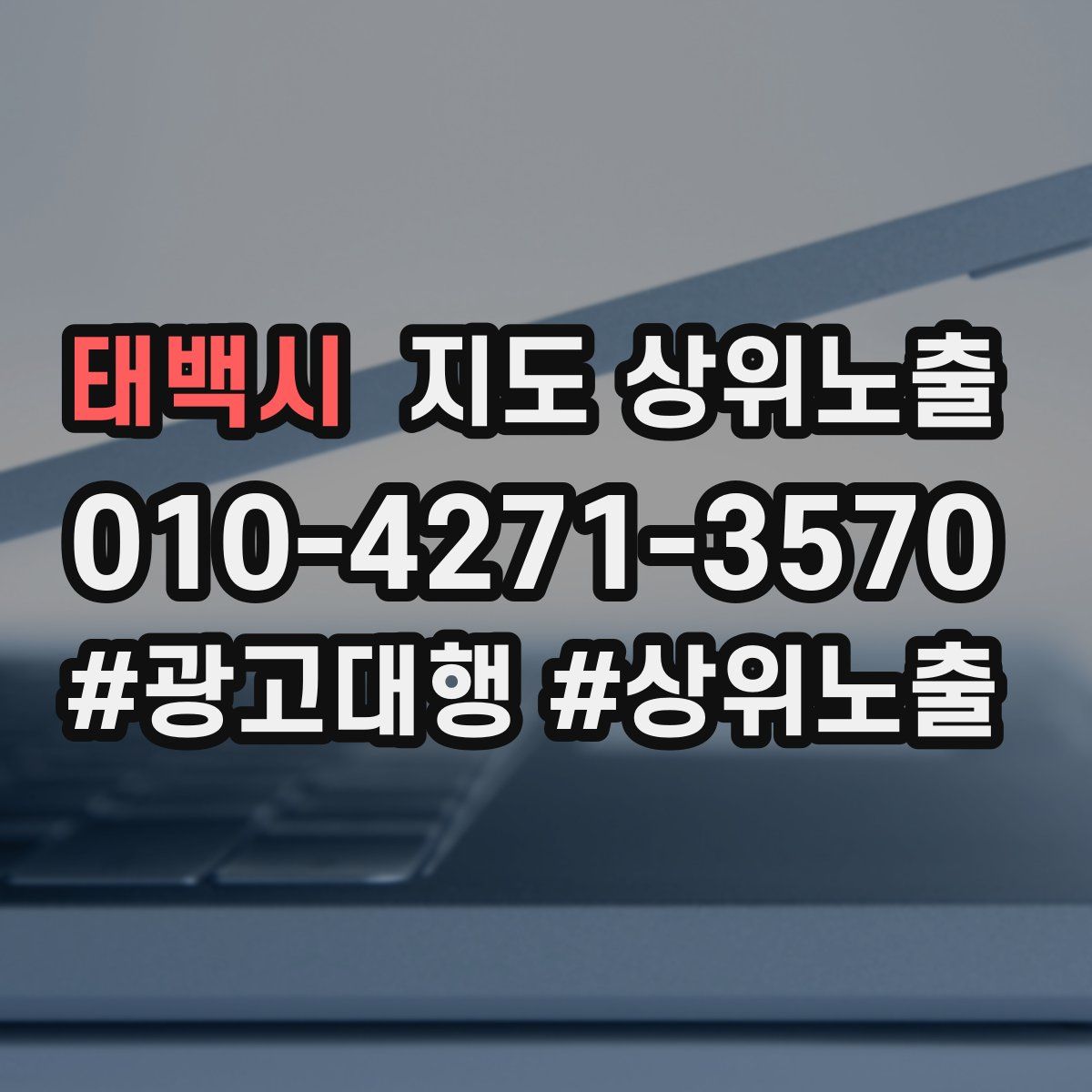 태백시 지도 상위 노출