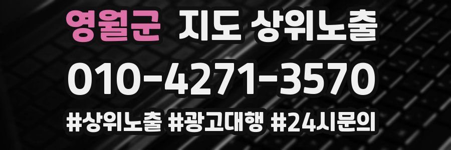 영월군 지도 상위 노출