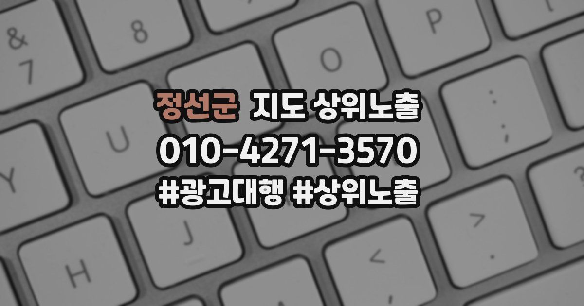 정선군 지도 상위 노출