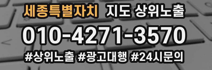 세종특별자치 지도 상위 노출