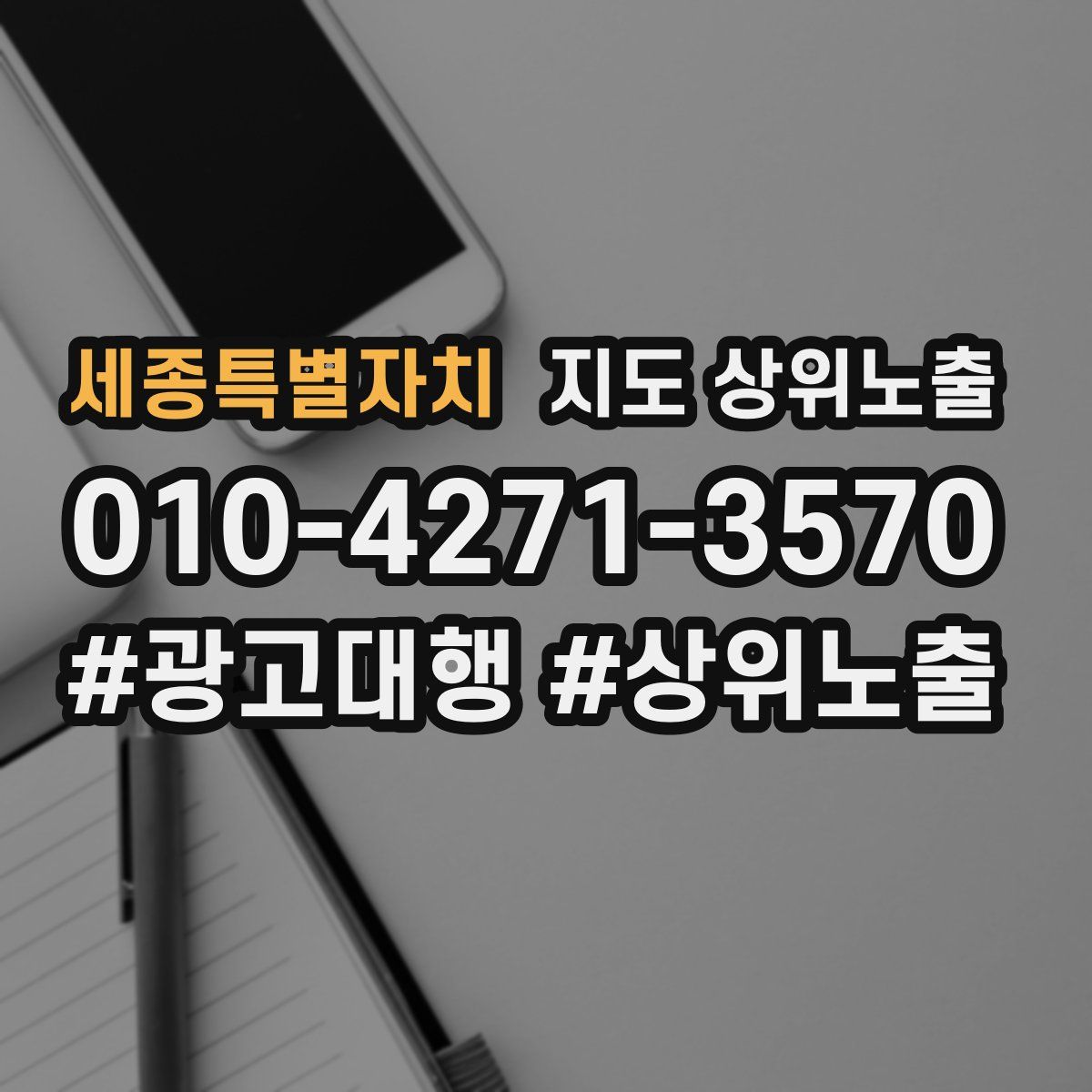 세종특별자치 지도 상위 노출