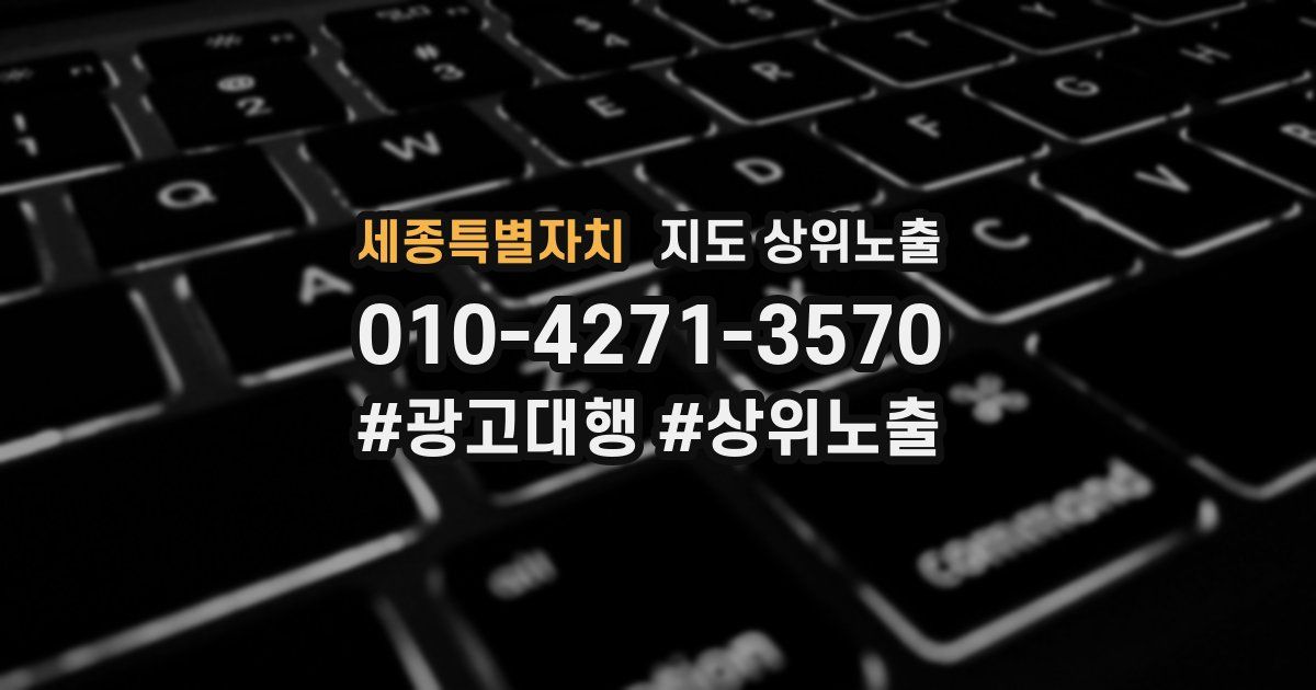 세종특별자치 지도 상위 노출