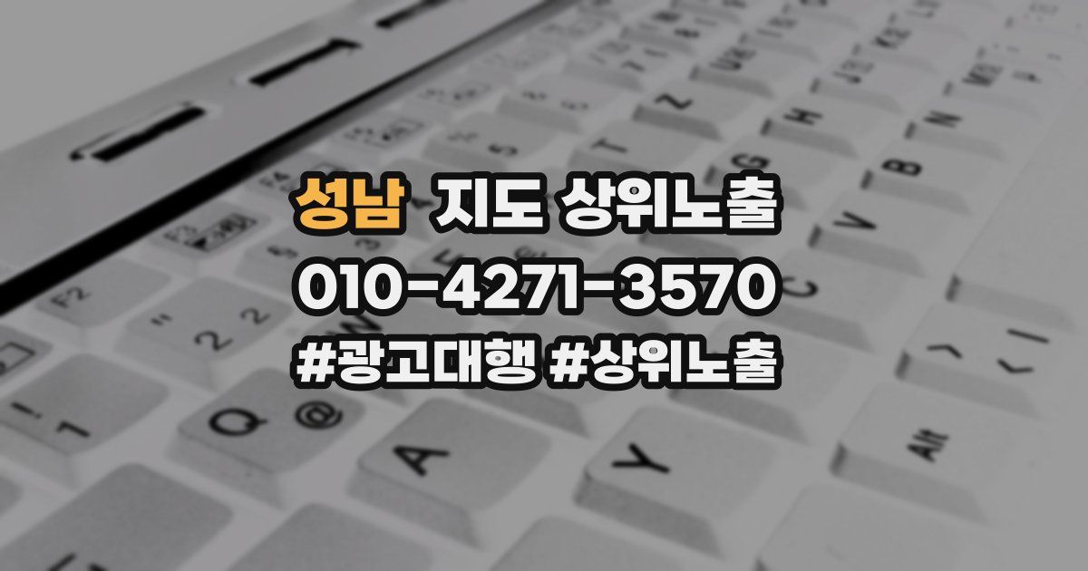 성남 지도 상위 노출