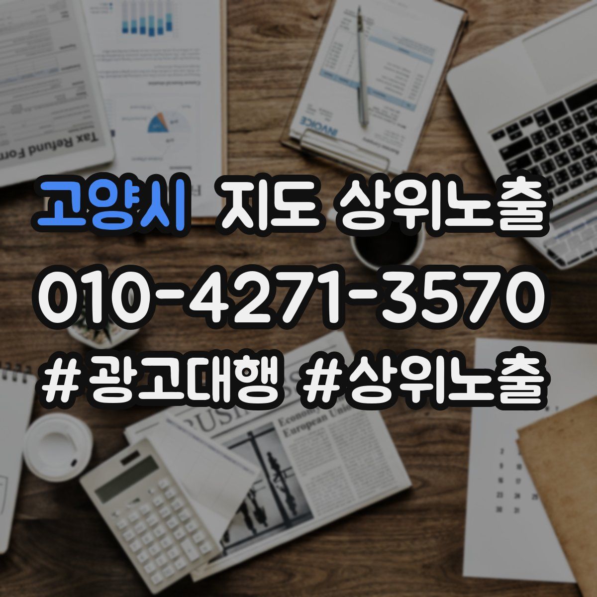 고양시 지도 상위 노출
