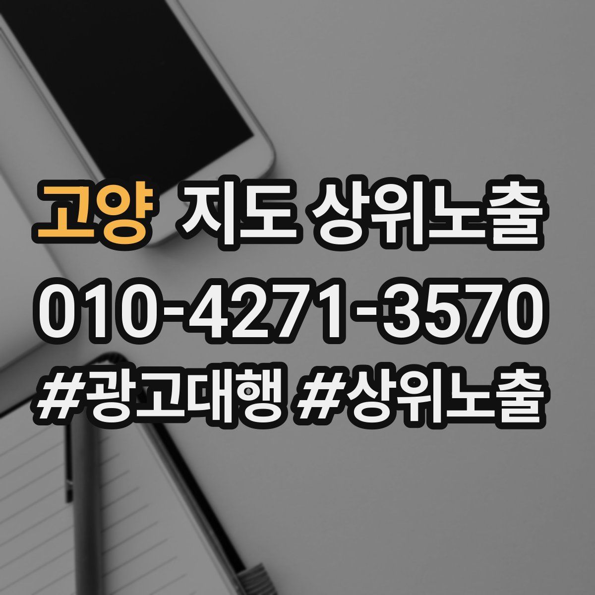 고양 지도 상위 노출