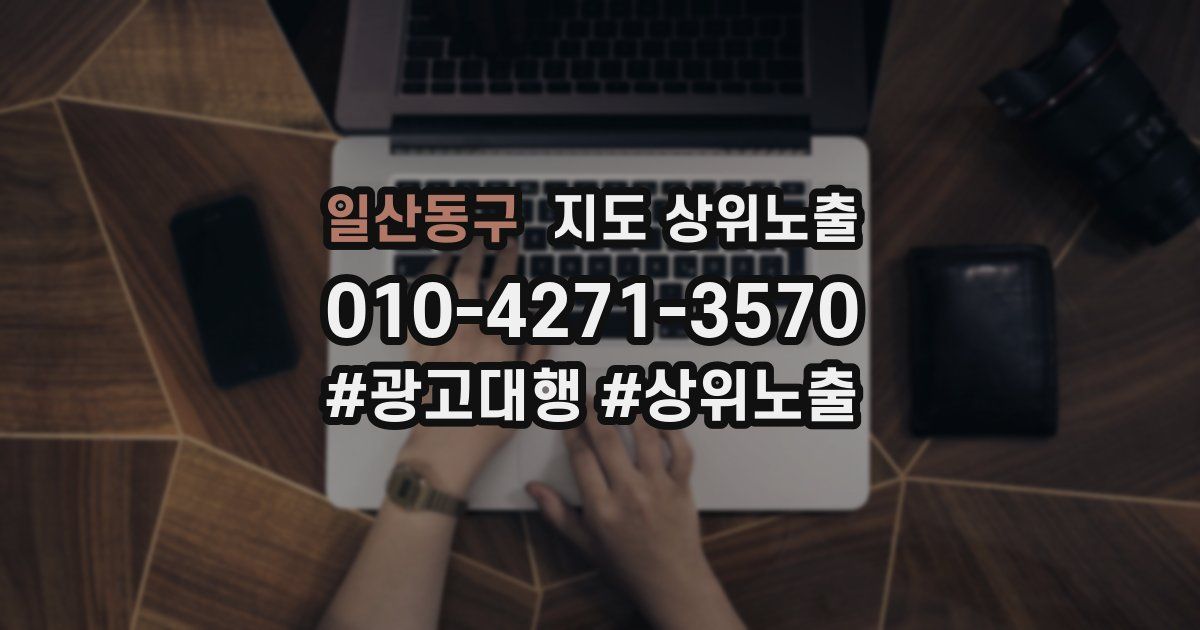 일산동구 지도 상위 노출