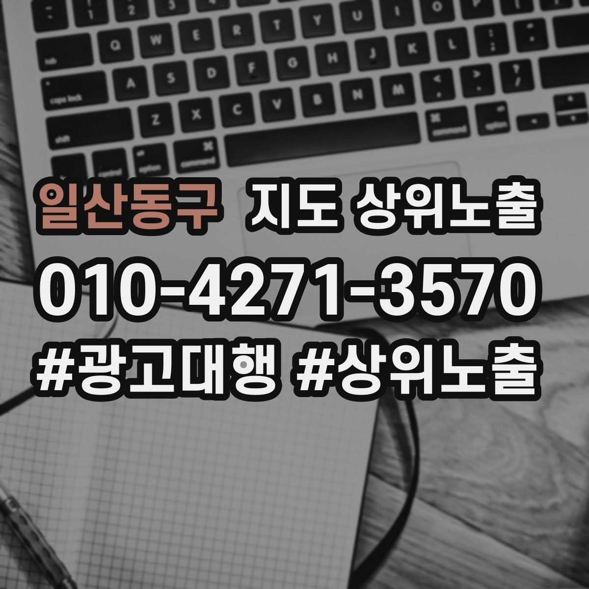 일산동구 지도 상위 노출