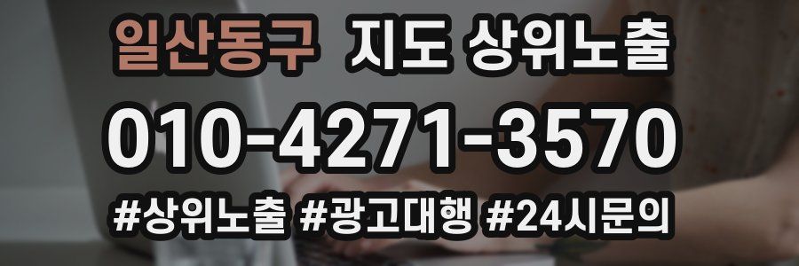 일산동구 지도 상위 노출