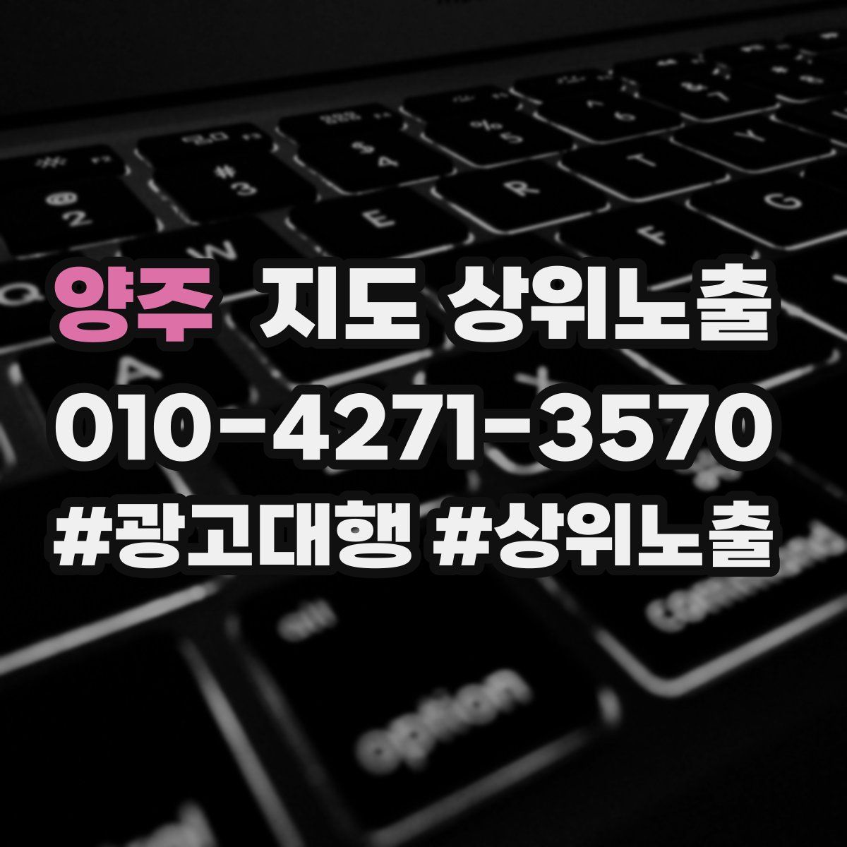 양주 지도 상위 노출