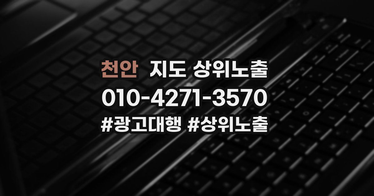 천안 지도 상위 노출