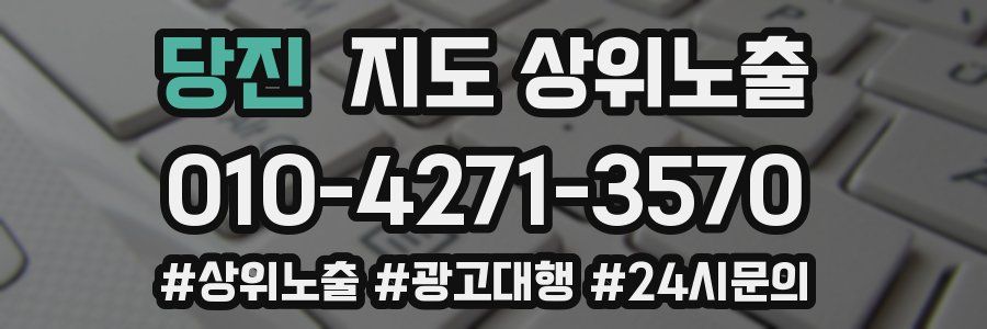 당진 지도 상위 노출