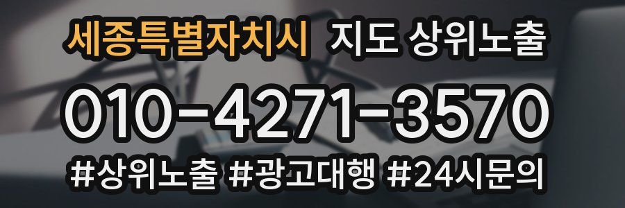 세종특별자치시 지도 상위 노출