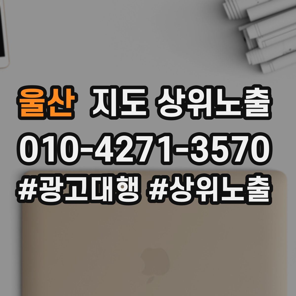 울산 지도 상위 노출