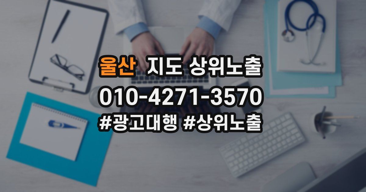 울산 지도 상위 노출