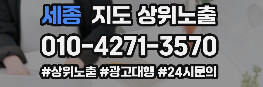 세종 지도 상위 노출