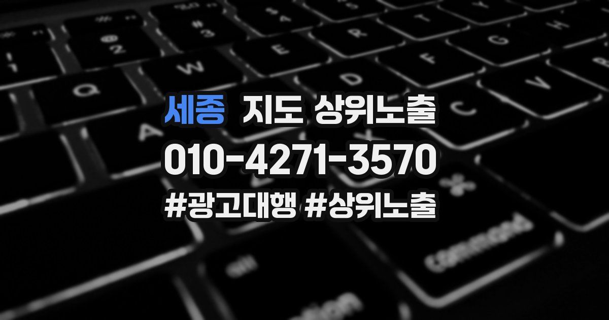 세종 지도 상위 노출