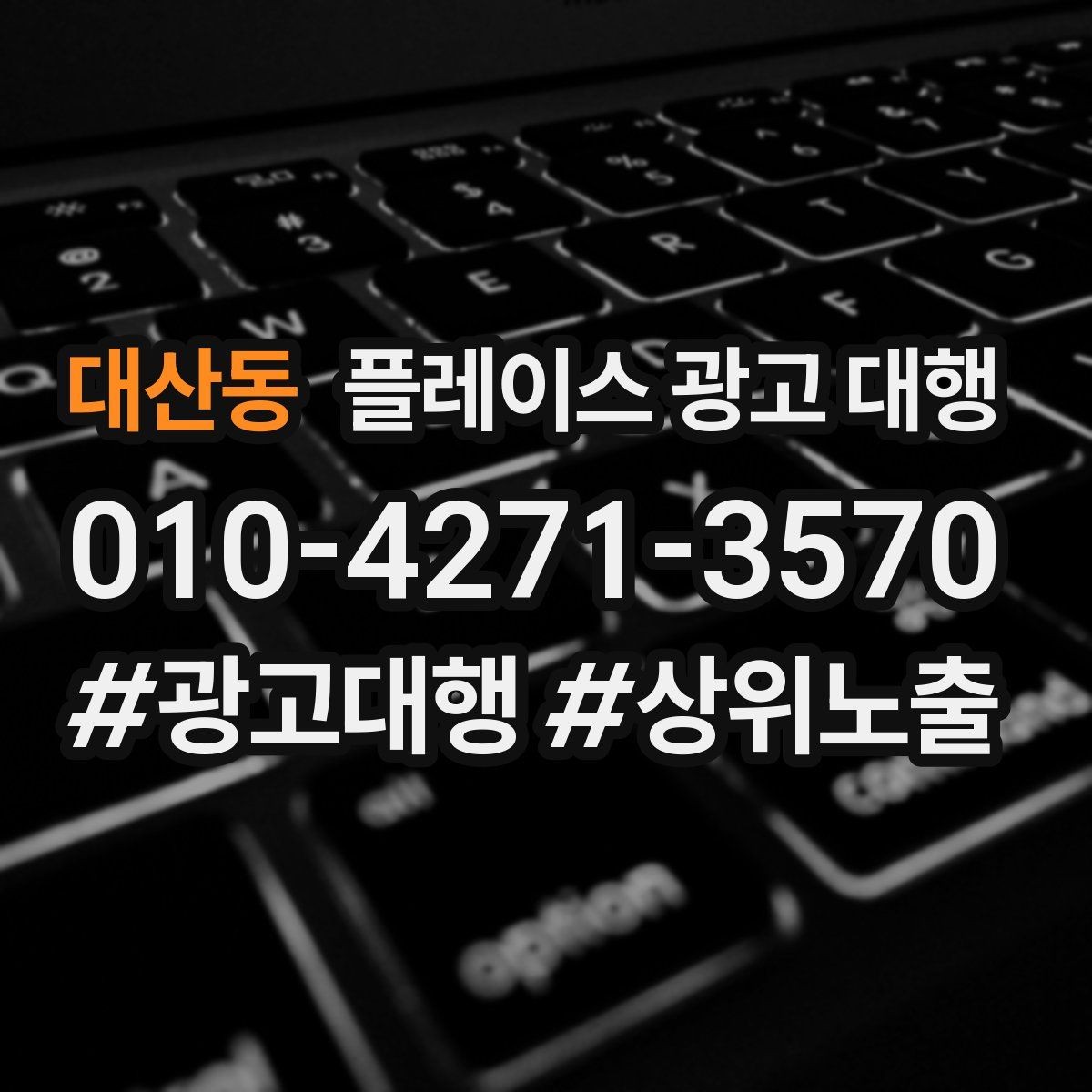 대산동 플레이스 광고 대행 지역 고객 특성에 맞춘 안내 방식