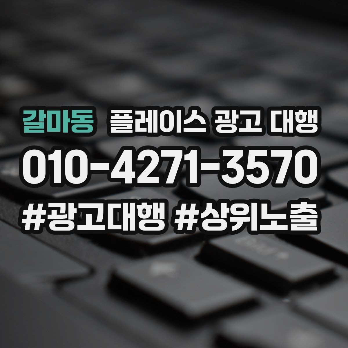 갈마동 플레이스 광고 대행 지역 상권 데이터 활용법