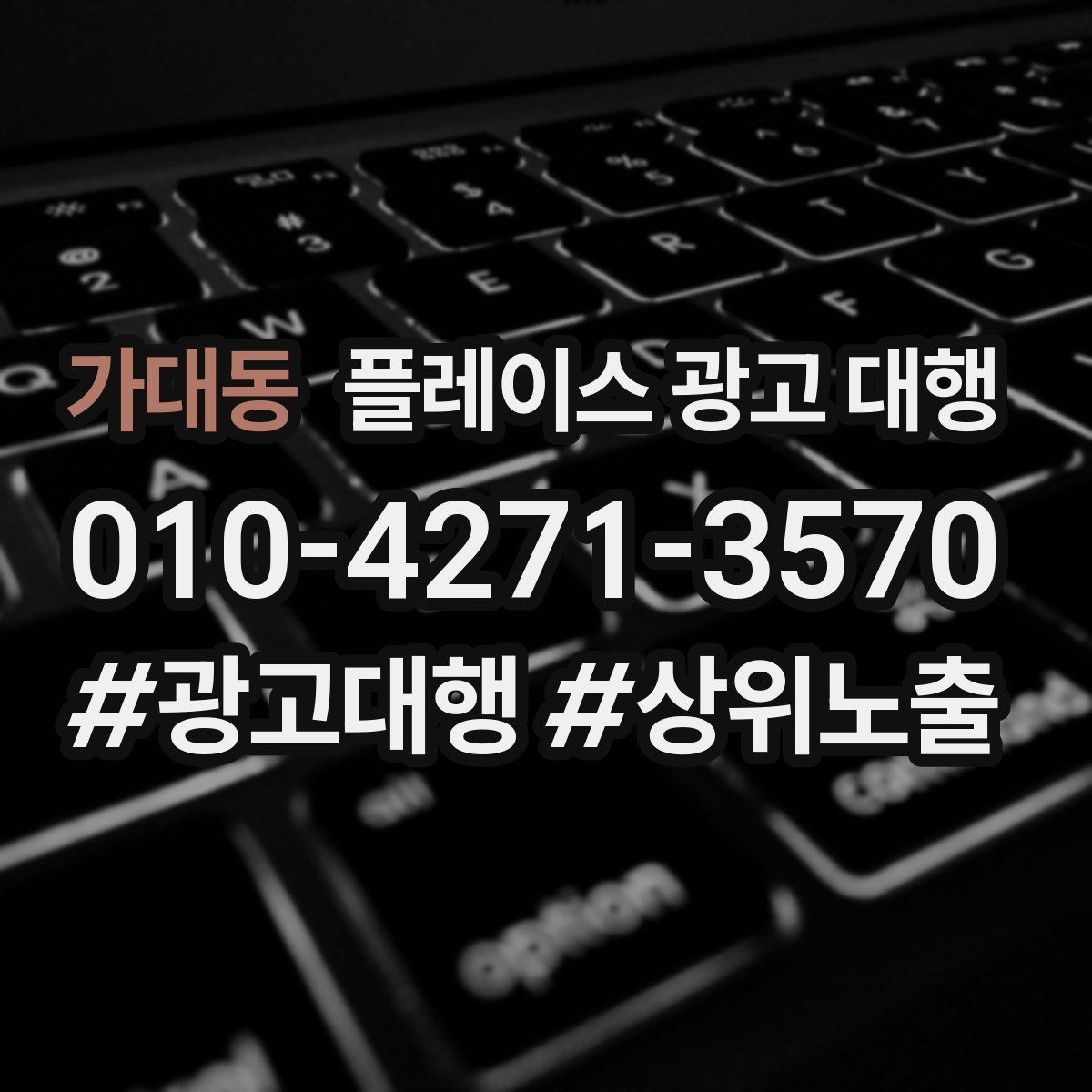 가대동 플레이스 광고 대행 예산을 나눠 쓰는 실전 팁