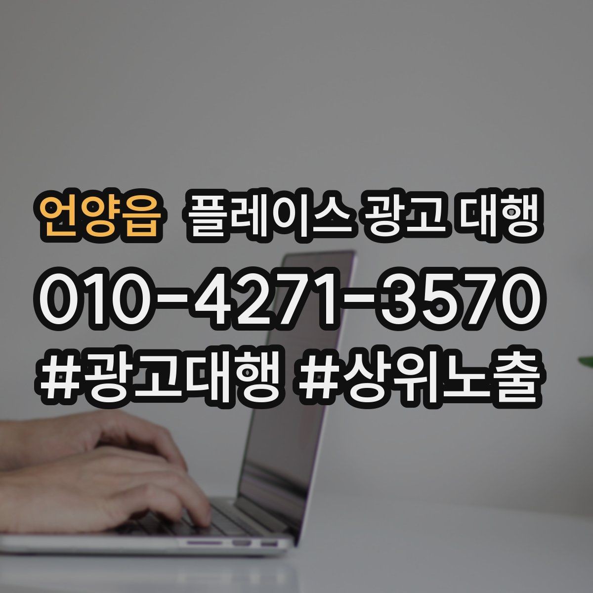 언양읍 플레이스 광고 대행 상담 전 정리하면 좋은 내용
