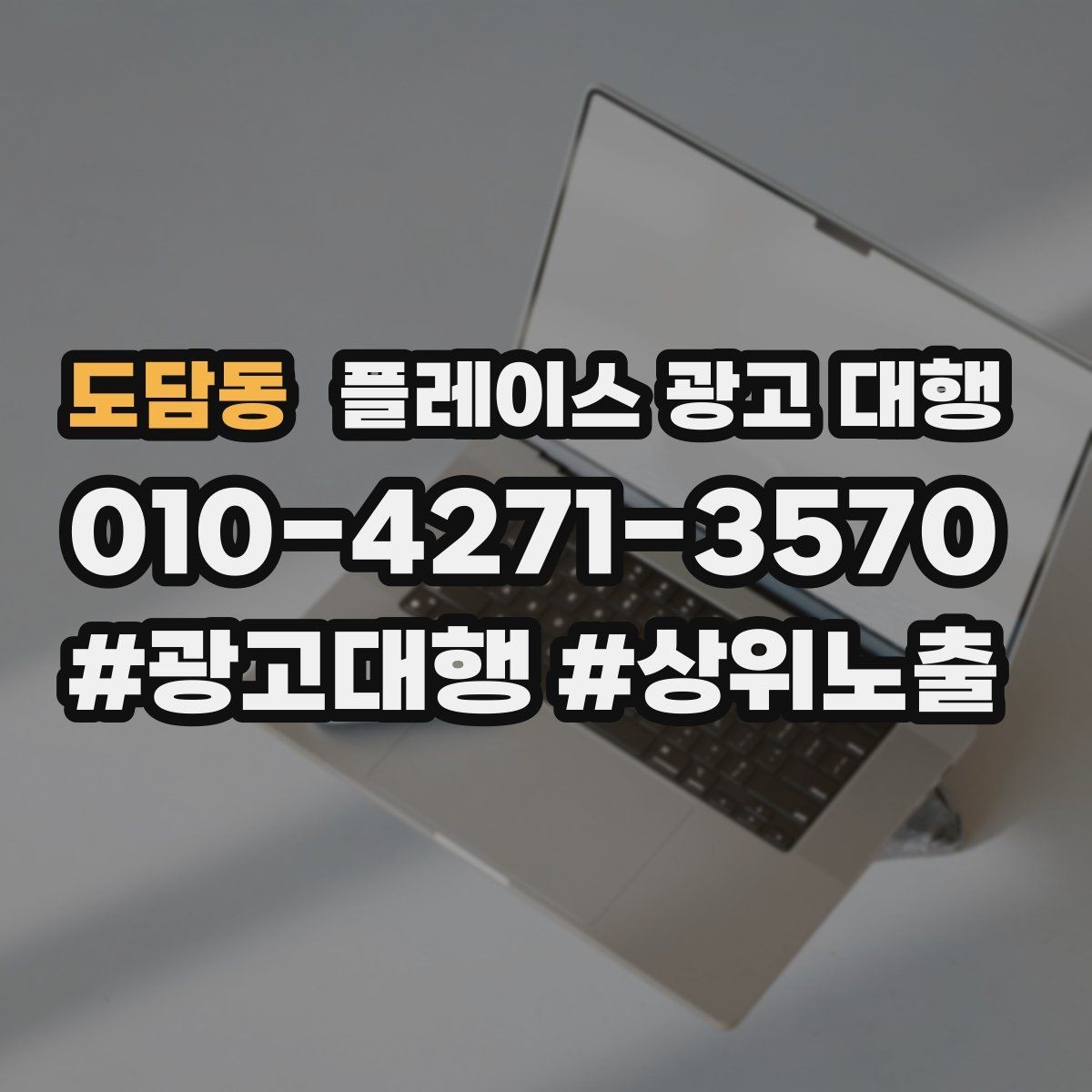 도담동 플레이스 광고 대행 업종 특성에 맞춘 운영 예시