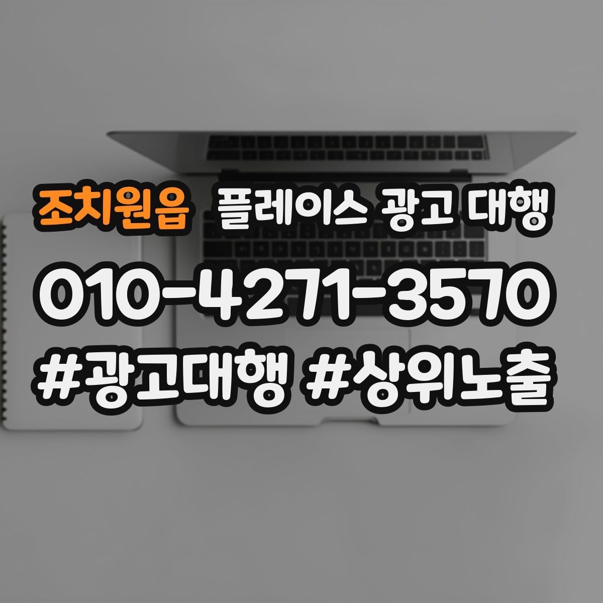 조치원읍 플레이스 광고 대행 매출 연결을 위한 관리 요소