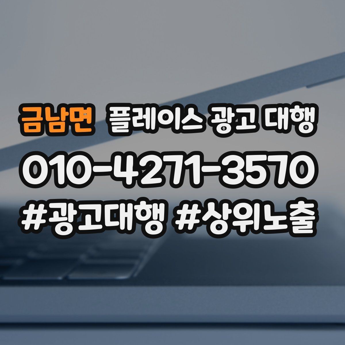 금남면 플레이스 광고 대행 운영에 필요한 기본 자료 정리