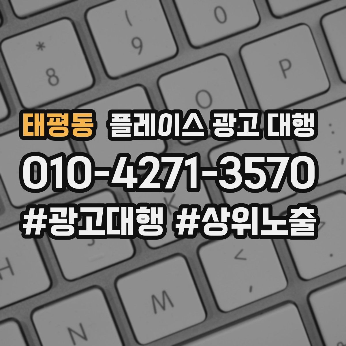 태평동 플레이스 광고 대행 상담 사례로 보는 선택 기준