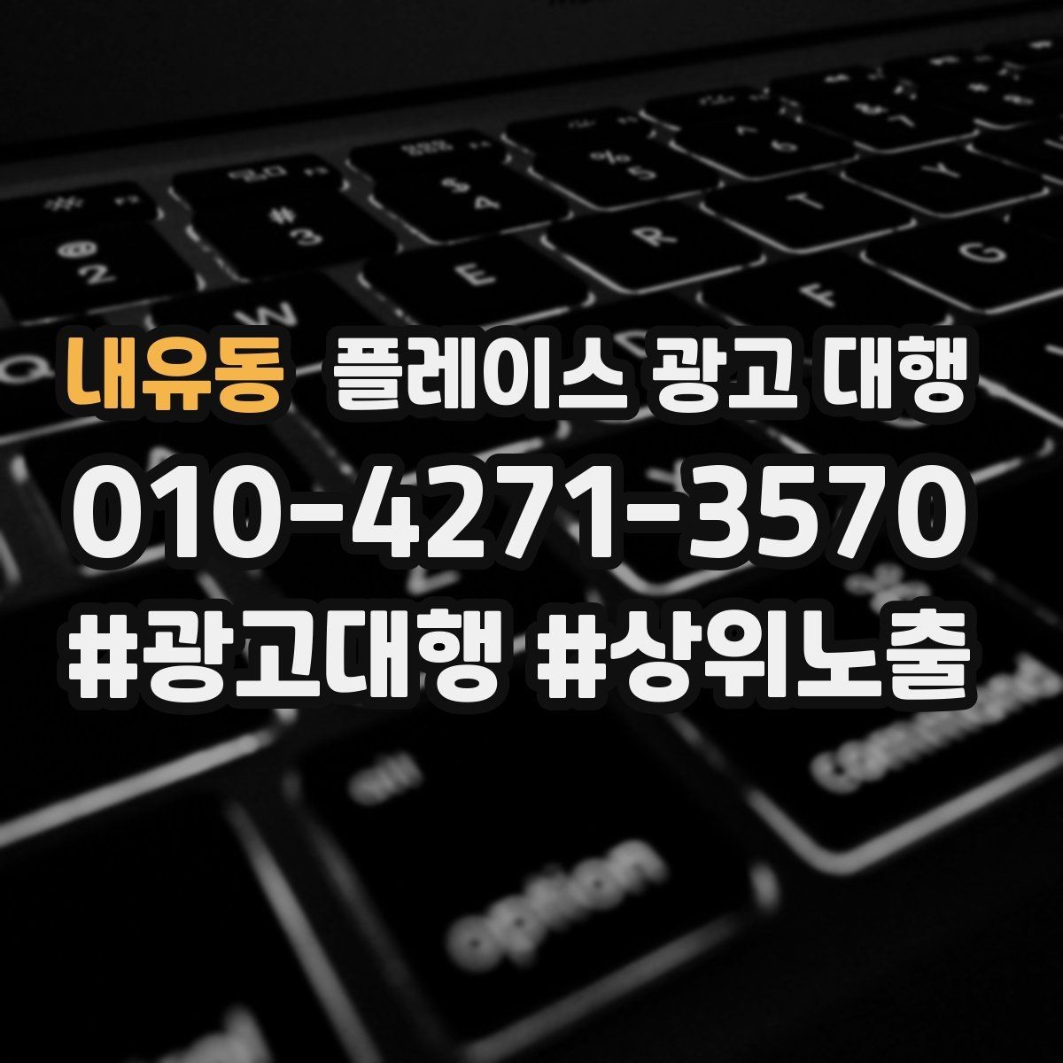 내유동 플레이스 광고 대행 지역 타깃을 나누는 실무 기준