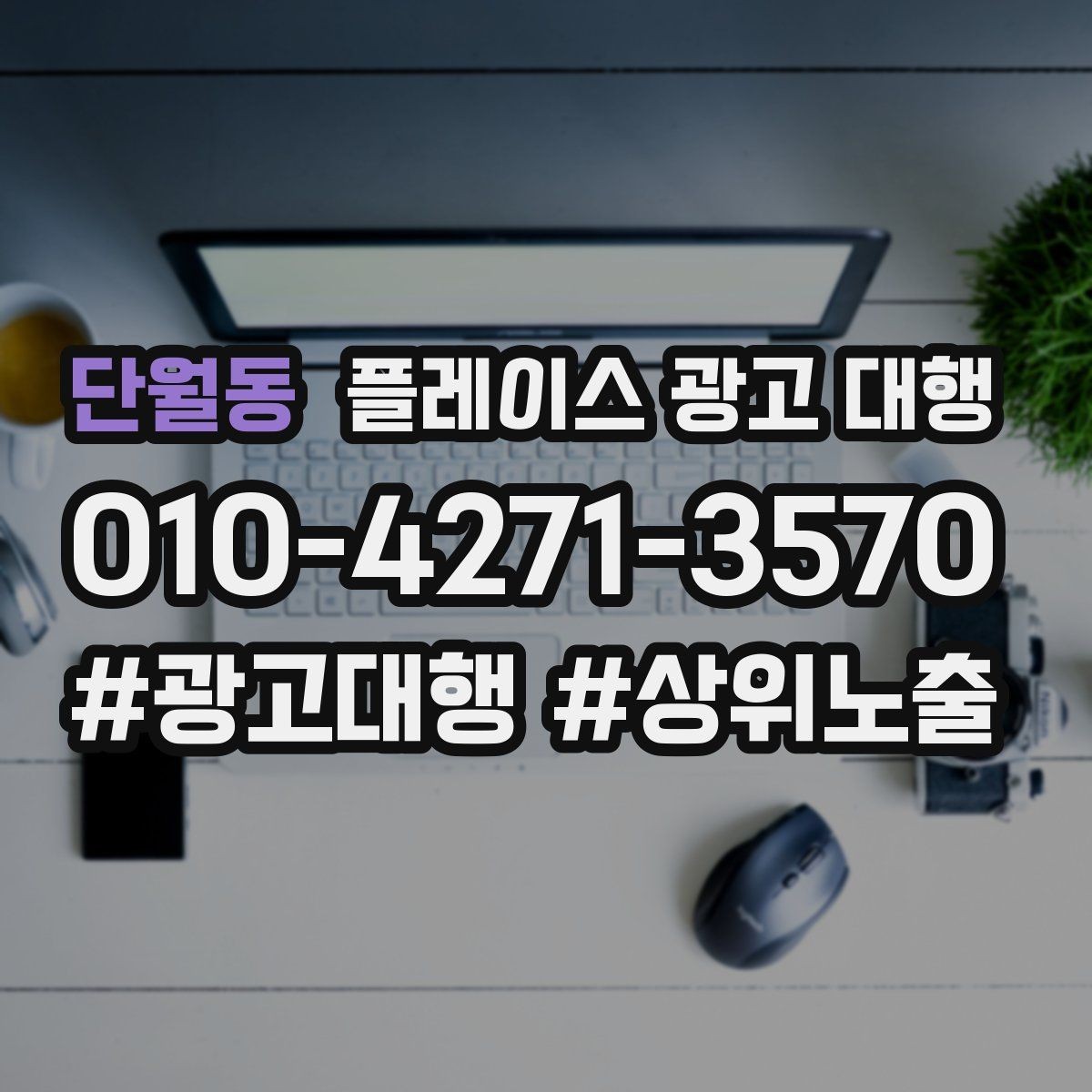 단월동 플레이스 광고 대행 점포 유형에 따라 달라지는 전략
