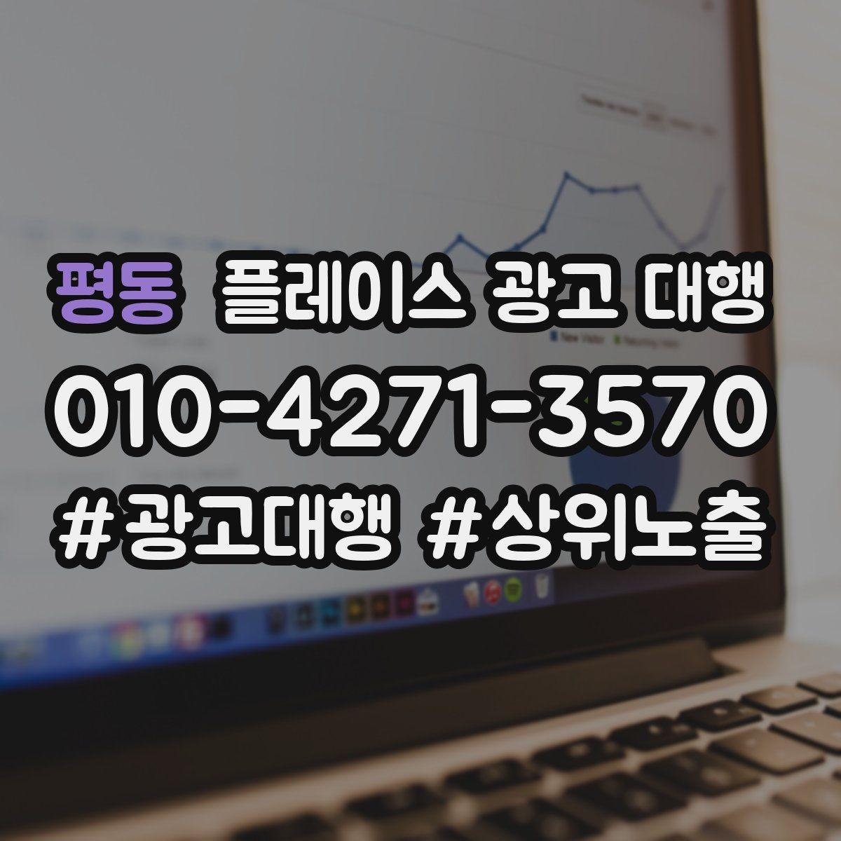평동 플레이스 광고 대행 지역 상권 데이터 활용법