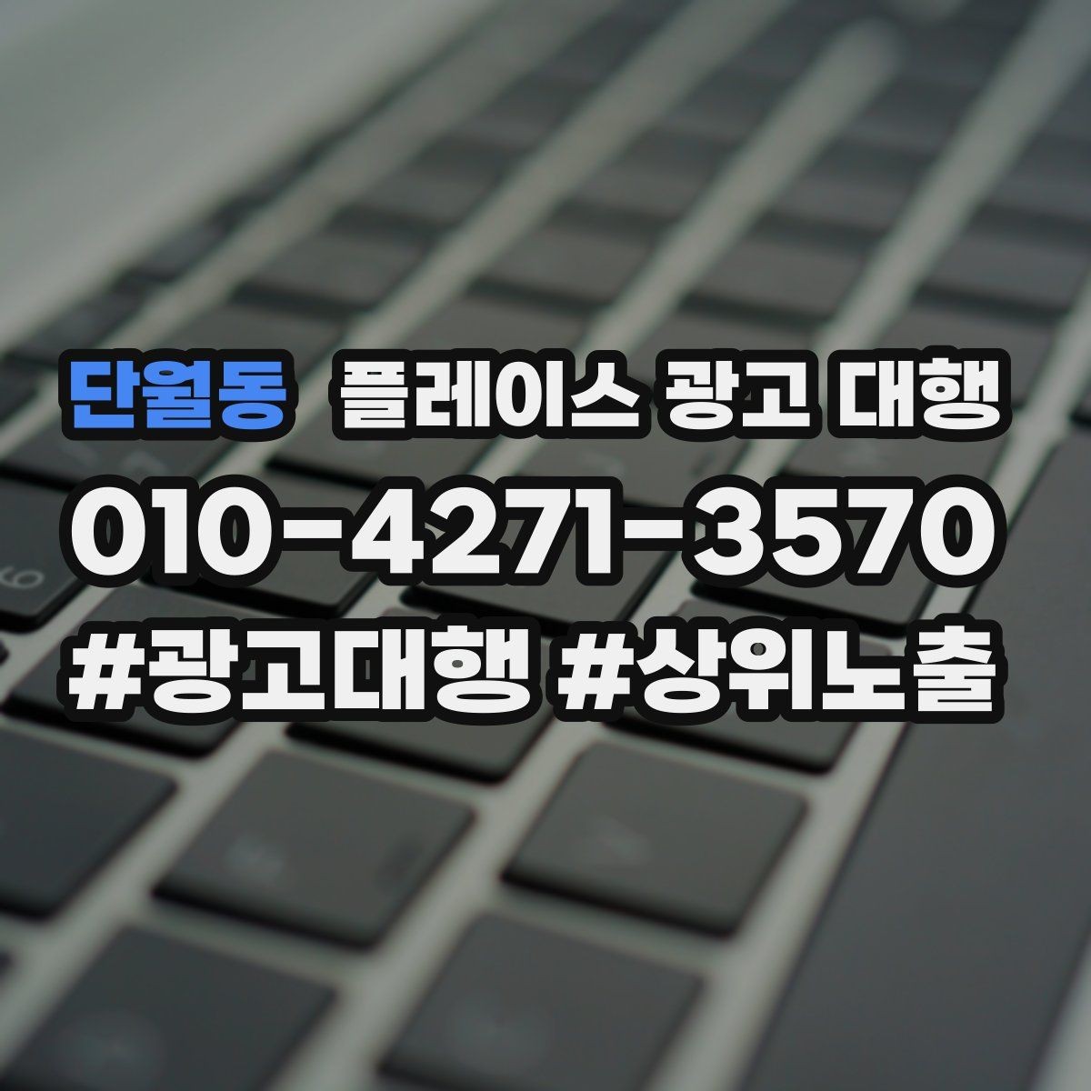 단월동 플레이스 광고 대행 성과가 달라지는 운영 방식