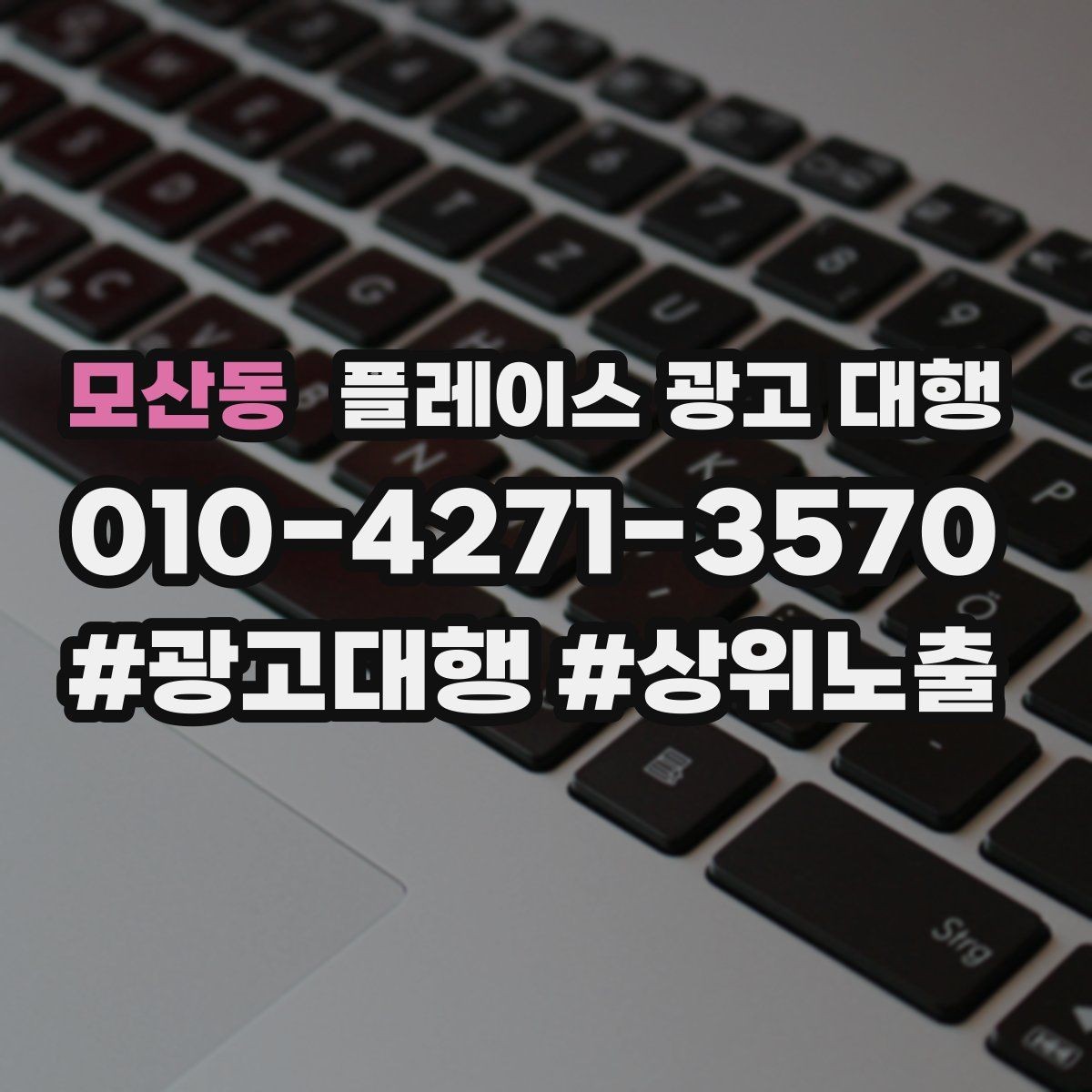 모산동 플레이스 광고 대행 성과가 잘 나는 업종의 특징