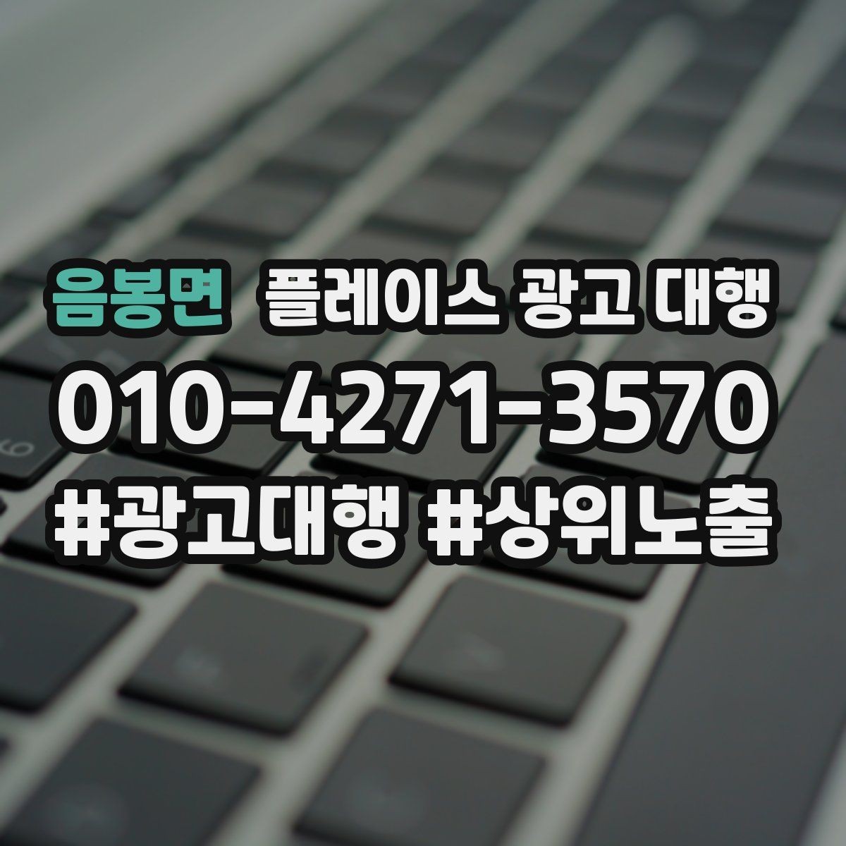 음봉면 플레이스 광고 대행 검색 노출 점검 포인트