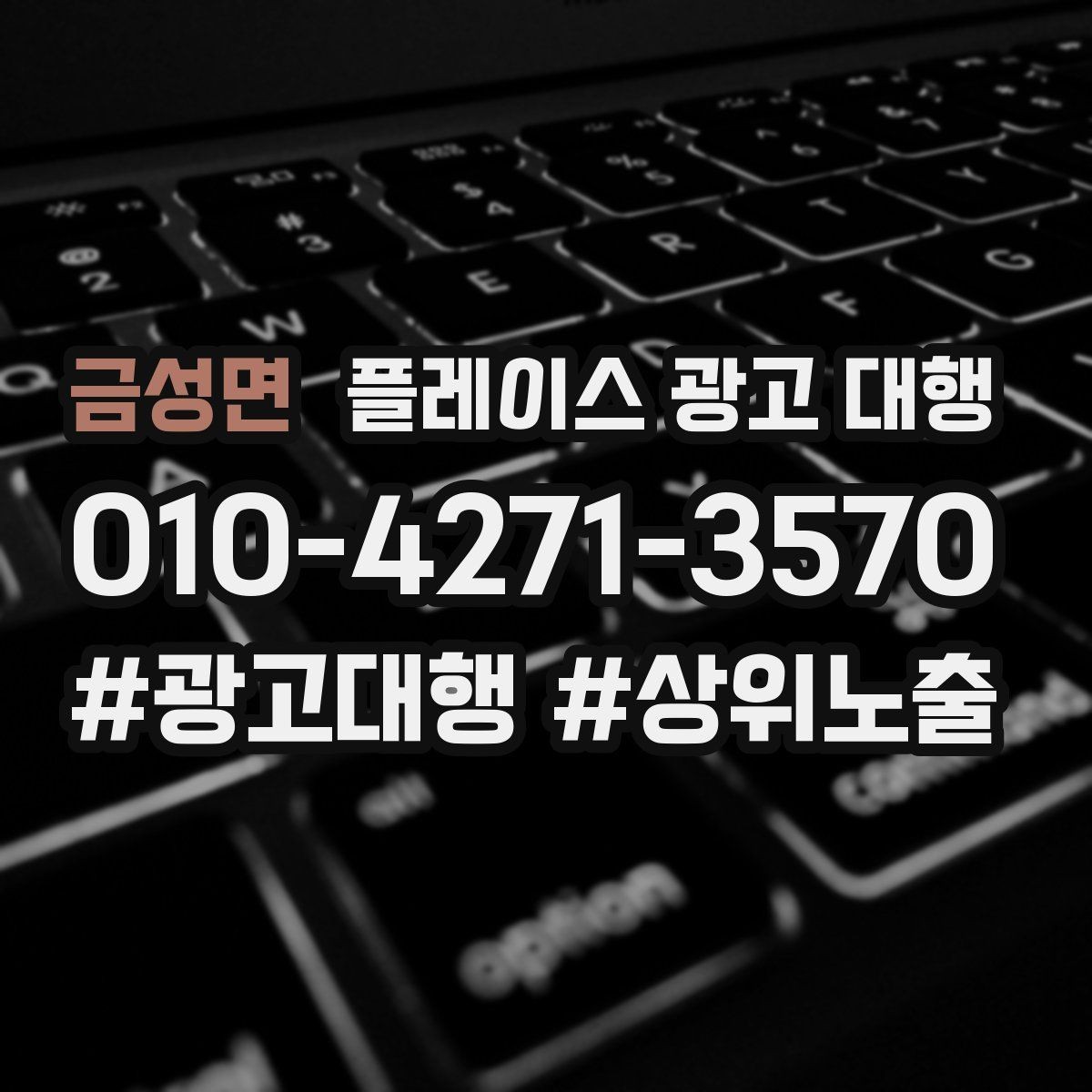 금성면 플레이스 광고 대행 운영 중 콘텐츠 수정이 필요한 경우