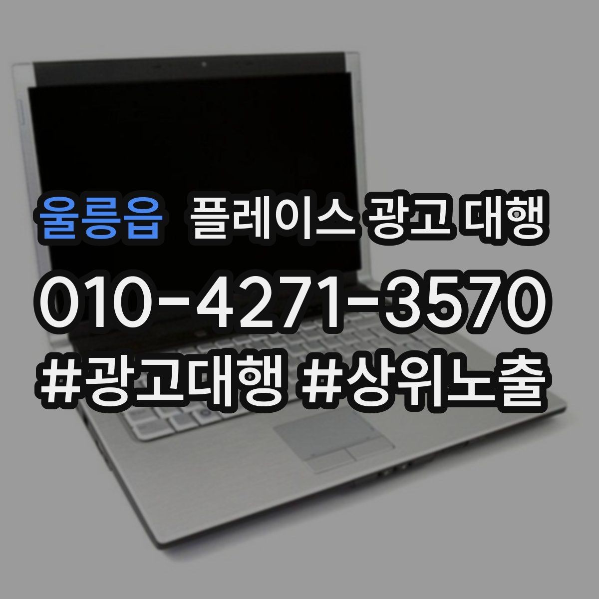 울릉읍 플레이스 광고 대행 상담 전 체크사항하면 좋은 자료