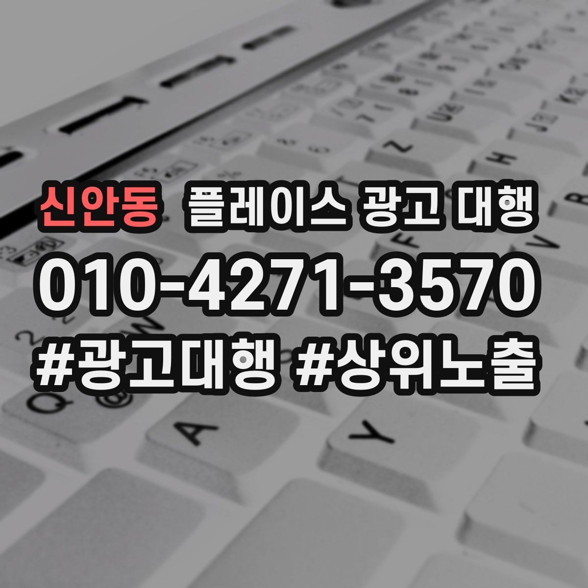 신안동 플레이스 광고 대행 운영에 필요한 기본 자료 정리