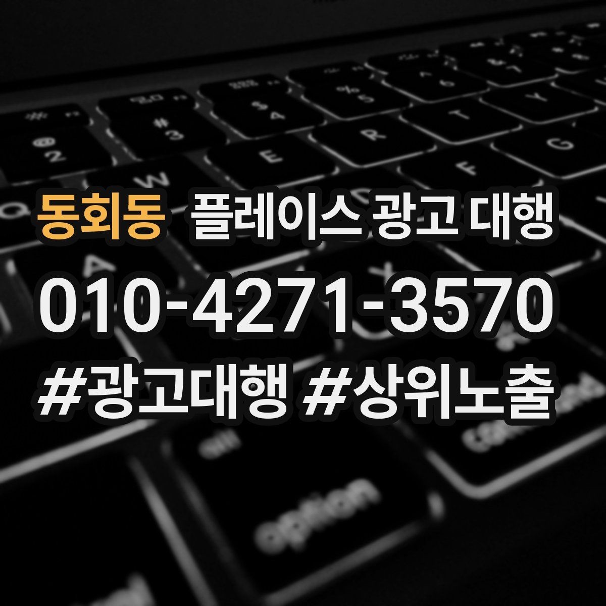 동회동 플레이스 광고 대행 운영 사례로 보는 참고 포인트