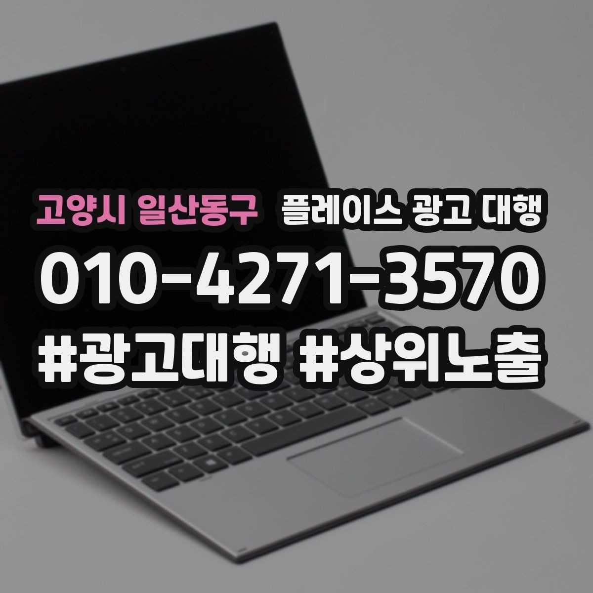 고양시 일산동구 플레이스 광고 대행 지역 특성 반영이 중요한 이유