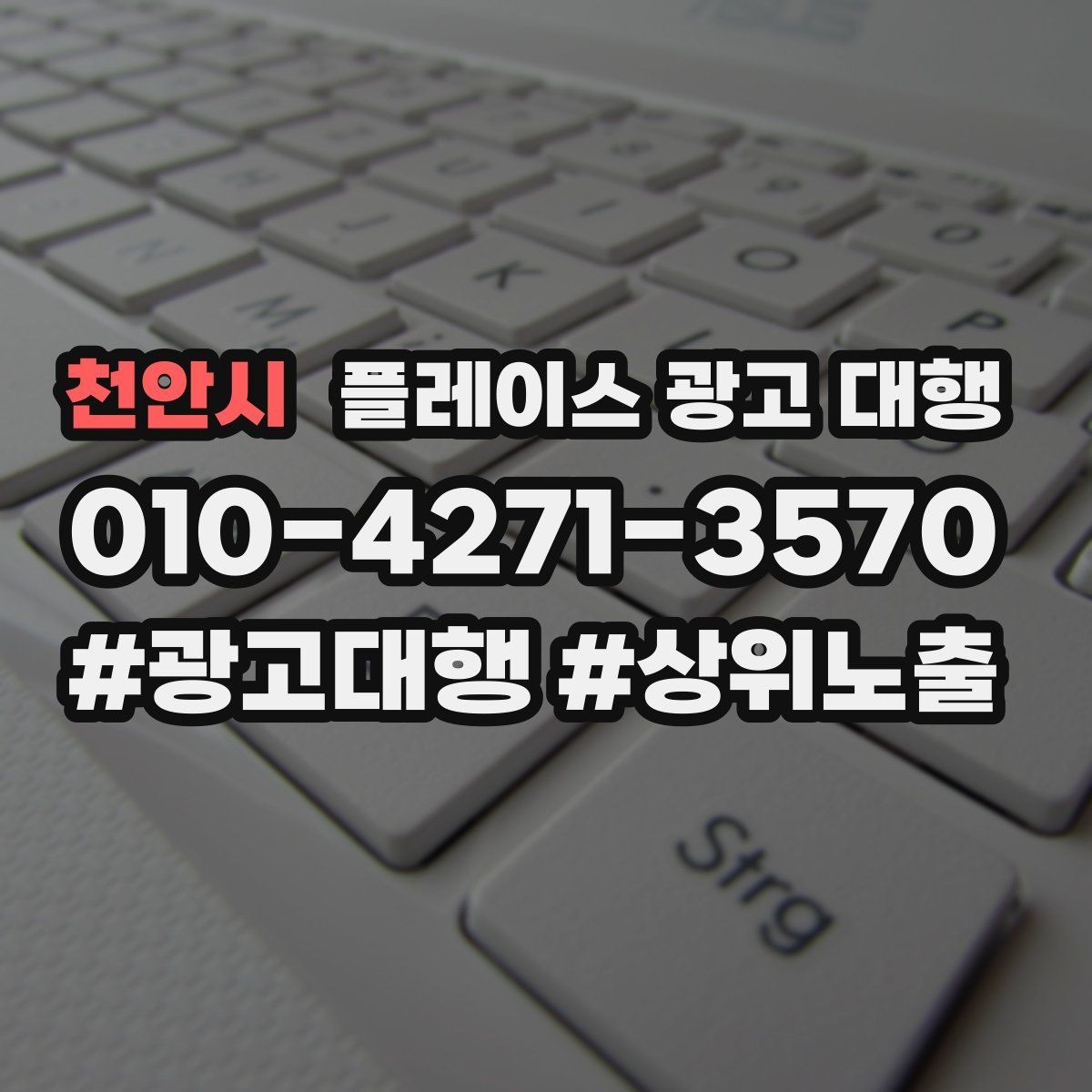 천안시 플레이스 광고 대행 운영 경험이 부족해도 가능한 방식