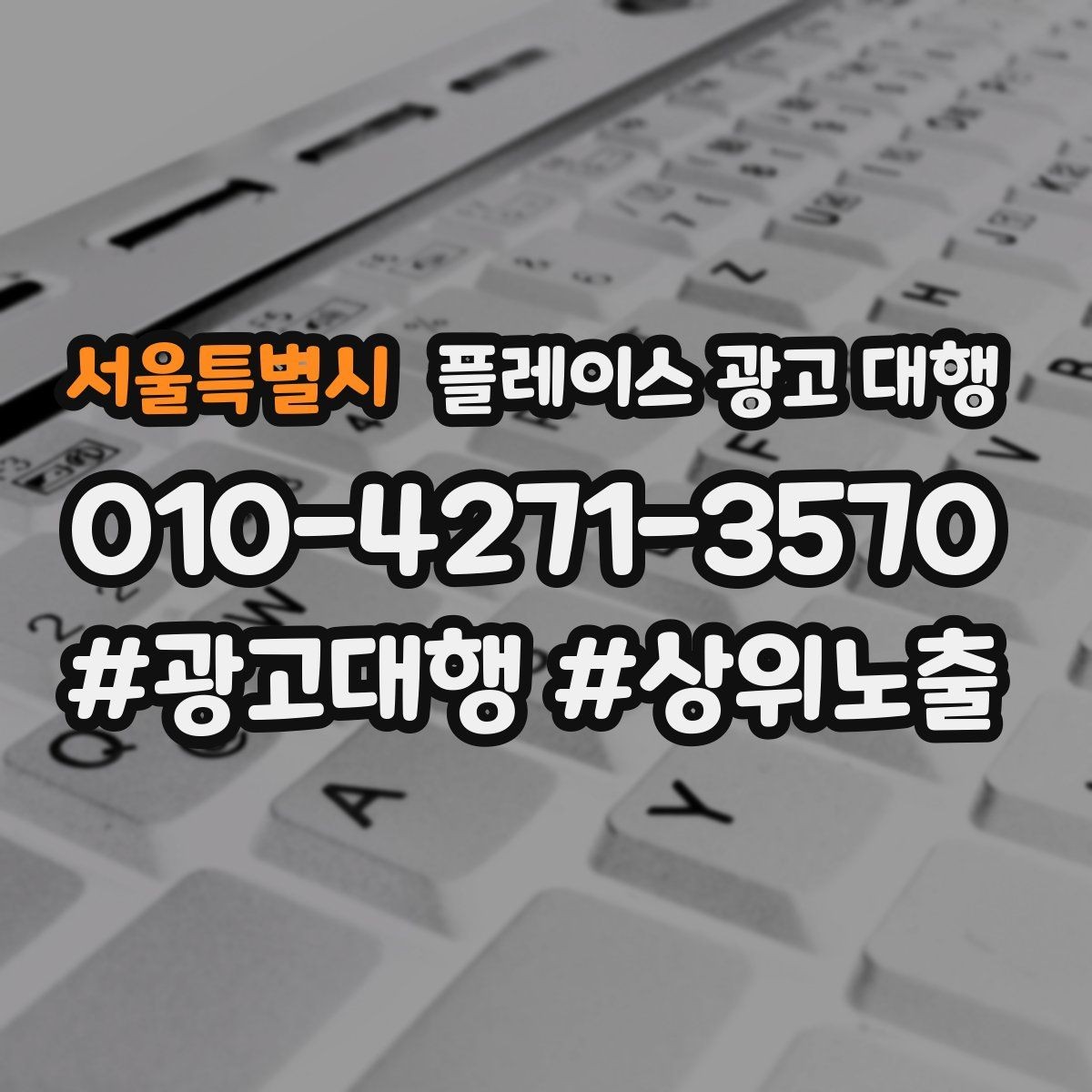 서울특별시 플레이스 광고 대행 비용 구조를 이해하는 방법