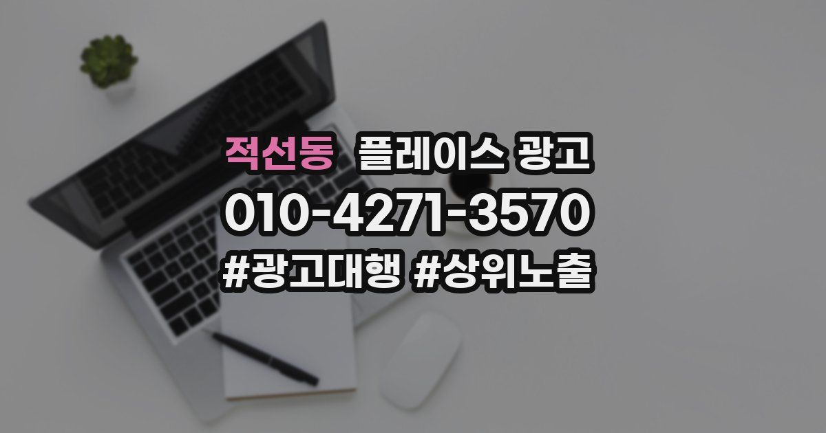적선동 플레이스 광고