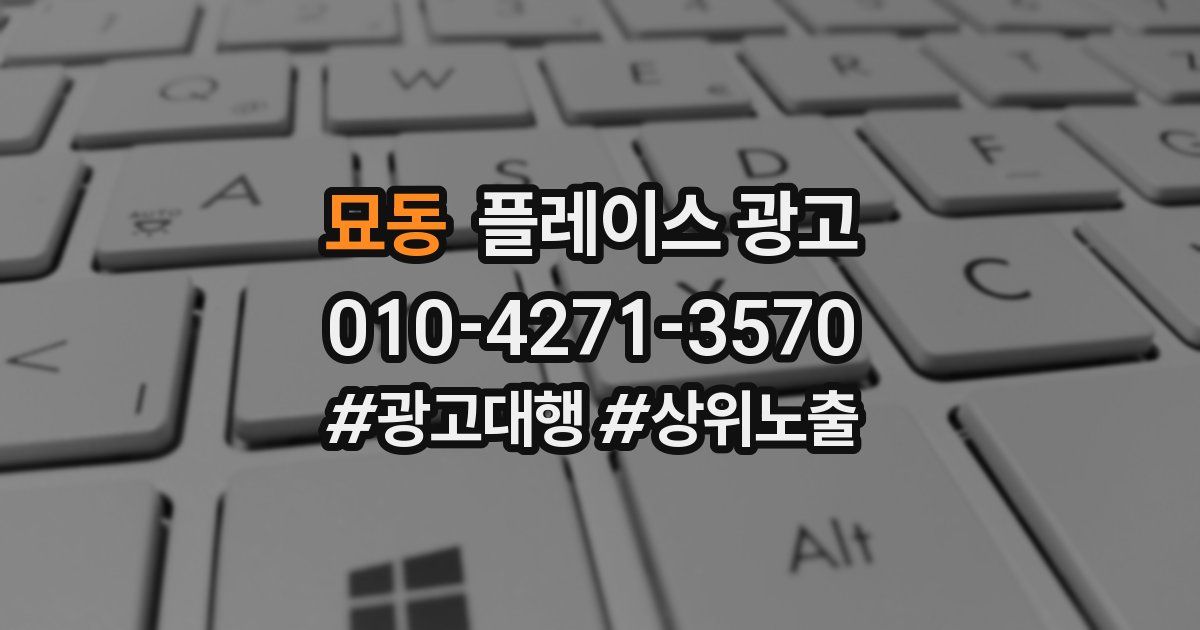 묘동 플레이스 광고