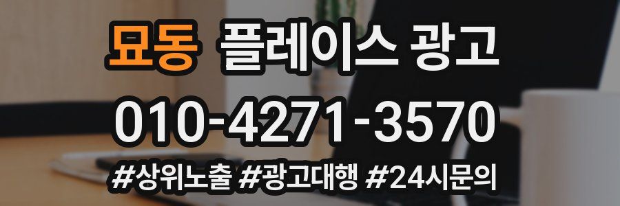 묘동 플레이스 광고